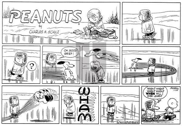 Peanuts on Sunday January 29, 1956 Comic Strip