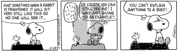 Peanuts on Friday March 23, 1990 Comic Strip