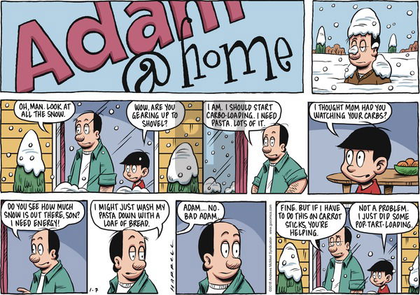 Adam@Home on Sunday January 7, 2018 Comic Strip
