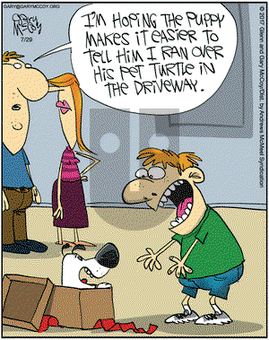 The Flying McCoys on Saturday July 29, 2017 Comic Strip