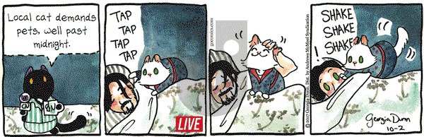 Breaking Cat News on Monday October 2, 2017 Comic Strip