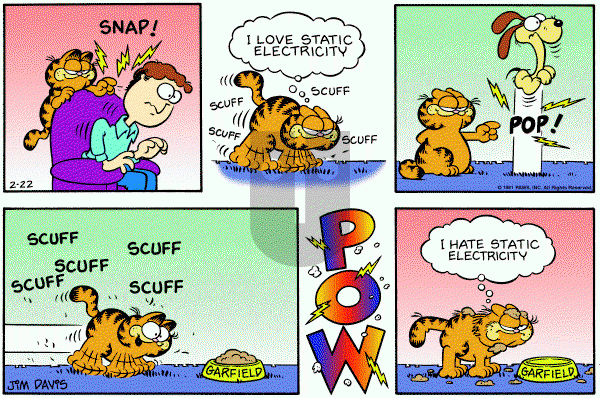 Garfield on Sunday February 22, 1981 Comic Strip