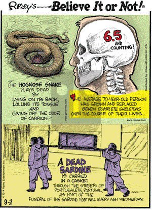 Ripley's Believe It or Not on Tuesday September 2, 2014 Comic Strip