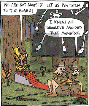The Argyle Sweater on Saturday January 29, 2011 Comic Strip