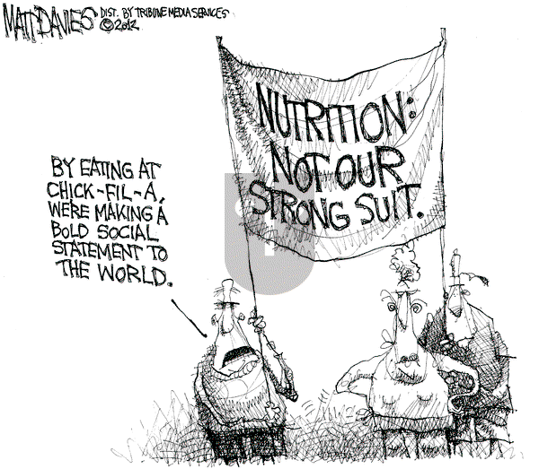 Matt Davies on Wednesday August 1, 2012 Comic Strip