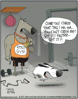 The Flying McCoys on Saturday January 14, 2017 Comic Strip