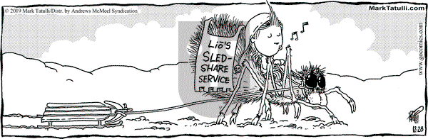 Lio on Saturday December 28, 2019 Comic Strip