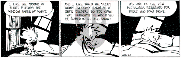 Calvin and Hobbes on Saturday December 2, 1995 Comic Strip