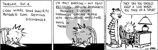 Calvin and Hobbes - Thursday June 24, 1993 Comic Strip