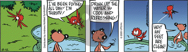 Rose is Rose on Wednesday August 12, 2020 Comic Strip