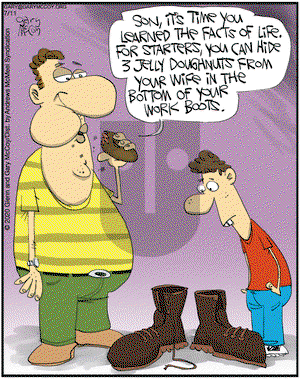 The Flying McCoys on Saturday July 11, 2020 Comic Strip