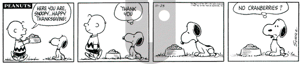 Peanuts on Sunday May 29, 1994 Comic Strip