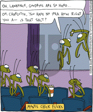 The Argyle Sweater on Wednesday July 23, 2008 Comic Strip