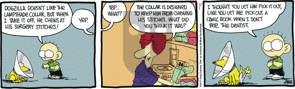 The Buckets on Saturday December 2, 2017 Comic Strip