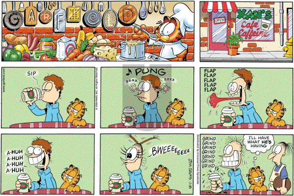 Garfield - Sunday November 8, 2009 Comic Strip