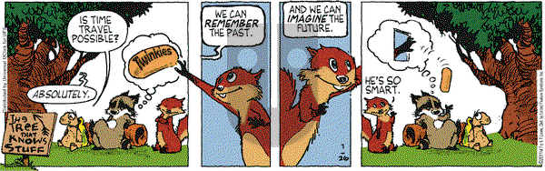 Over the Hedge on Tuesday July 26, 2011 Comic Strip