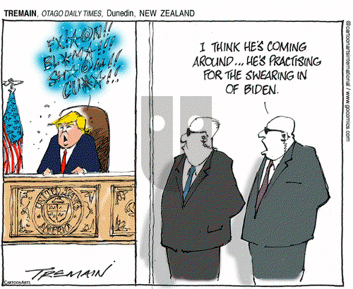 ViewsAmerica on Saturday November 28, 2020 Comic Strip