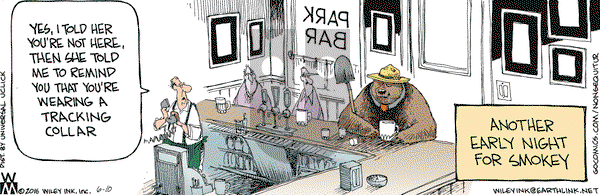 Non Sequitur on Friday June 10, 2016 Comic Strip