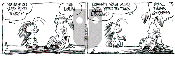 The Grizzwells on Thursday June 14, 2007 Comic Strip