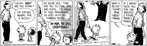 Calvin and Hobbes on Saturday May 22, 1993 Comic Strip