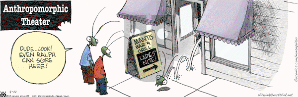 Non Sequitur - Saturday August 22, 2009 Comic Strip