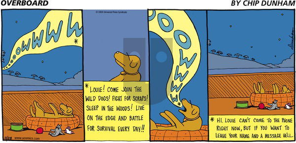 Overboard on Sunday November 28, 2004 Comic Strip