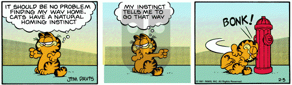 Garfield on Tuesday February 3, 1981 Comic Strip
