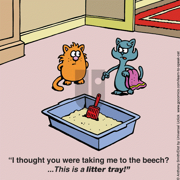 Learn to Speak Cat on Monday March 3, 2025 Comic Strip