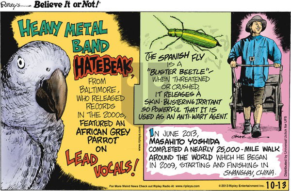 Ripley's Believe It or Not on Sunday October 13, 2013 Comic Strip