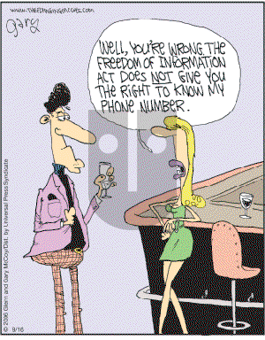 The Flying McCoys - Saturday September 16, 2006 Comic Strip