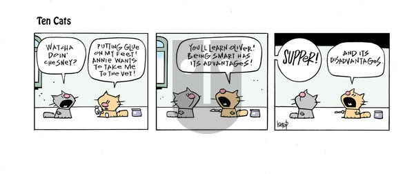 Ten Cats - Tuesday June 25, 2024 Comic Strip