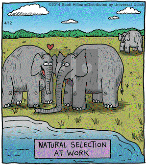 The Argyle Sweater - Saturday April 12, 2014 Comic Strip