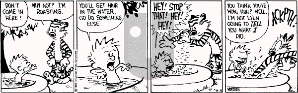 Calvin and Hobbes - Saturday August 27, 1988 Comic Strip