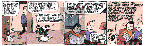 Pooch Cafe on Wednesday December 12, 2007 Comic Strip