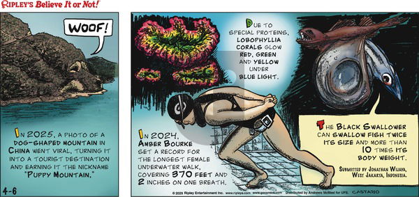 Ripley's Believe It or Not on Sunday April 6, 2025 Comic Strip