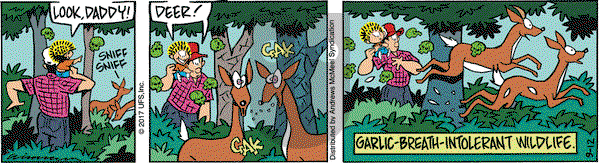 Rose is Rose on Tuesday September 12, 2017 Comic Strip
