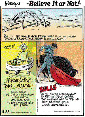 Ripley's Believe It or Not on Thursday May 22, 2014 Comic Strip