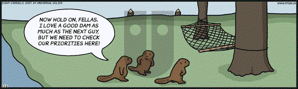 F Minus on Thursday November 6, 2014 Comic Strip
