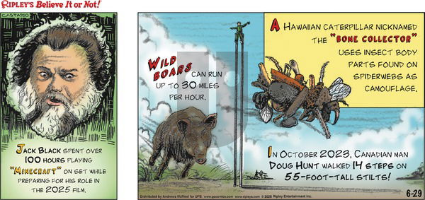 Ripley's Believe It or Not on 2025-06-29 Comic Strip