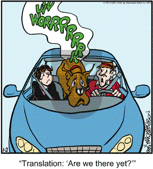 Marmaduke on Wednesday January 2, 2013 Comic Strip