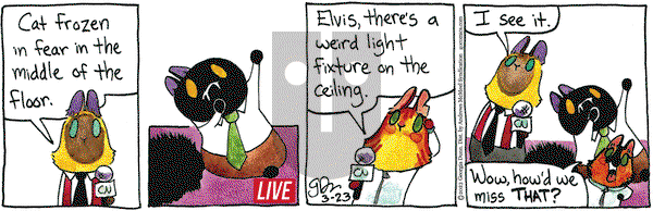 Breaking Cat News - Thursday March 23, 2023 Comic Strip