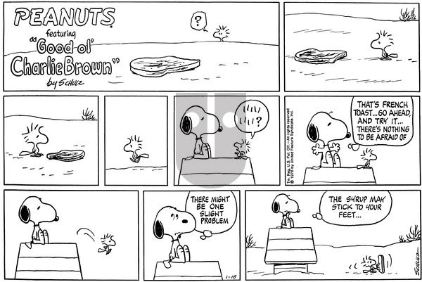 Peanuts on Sunday January 18, 1976 Comic Strip
