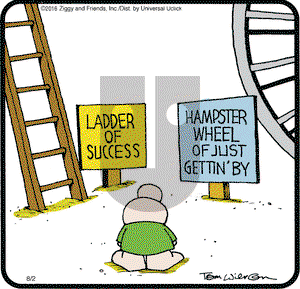 Ziggy on Tuesday August 2, 2016 Comic Strip