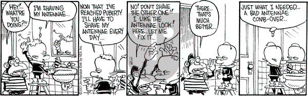 Monty on Tuesday December 18, 2001 Comic Strip