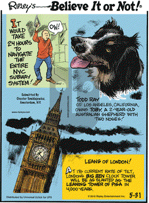 Ripley's Believe It or Not on Tuesday May 31, 2016 Comic Strip