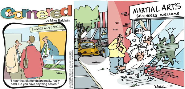 Cornered on Sunday November 25, 2012 Comic Strip