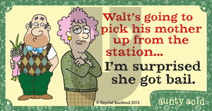 Aunty Acid on Tuesday December 22, 2015 Comic Strip