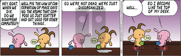 Pearls Before Swine on Wednesday June 20, 2018 Comic Strip
