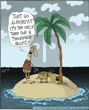 The Flying McCoys on Thursday January 12, 2012 Comic Strip