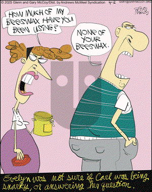 The Flying McCoys on Wednesday April 2, 2025 Comic Strip
